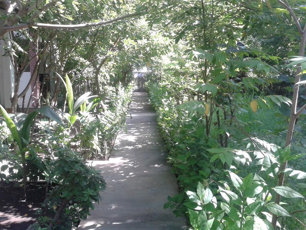 גילי מנו Putri Homestay מראה חיצוני תמונה